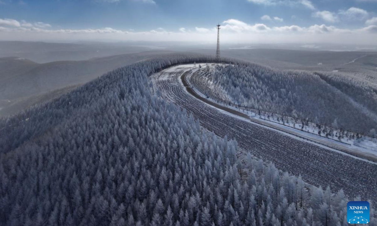 An aerial drone photo taken on Dec. 27, 2024 shows a winter view of the Saihanba National Forest Park in Chengde City, north China's Hebei Province. (Photo: Xinhua)