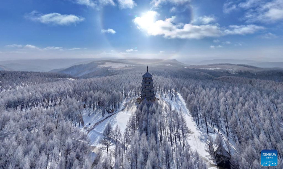 An aerial drone photo taken on Dec. 27, 2024 shows a winter view of the Saihanba National Forest Park in Chengde City, north China's Hebei Province. (Photo: Xinhua)