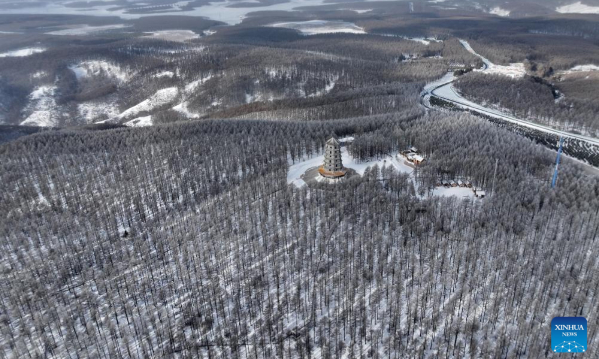 An aerial drone photo taken on Dec. 27, 2024 shows a winter view of the Saihanba National Forest Park in Chengde City, north China's Hebei Province. (Photo: Xinhua)