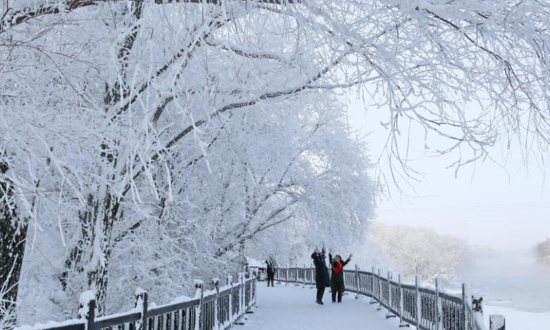 People enjoy rime scenery at a scenic spot in Wudalianchi, northeast China's Heilongjiang Province, Jan. 4, 2025. (Photo by Lu Wenxiang/Xinhua)