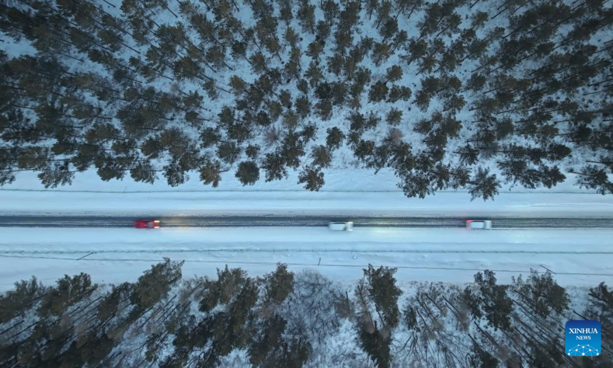 An aerial drone photo taken on Dec. 27, 2024 shows a winter view of the Saihanba National Forest Park in Chengde City, north China's Hebei Province. (Photo: Xinhua)