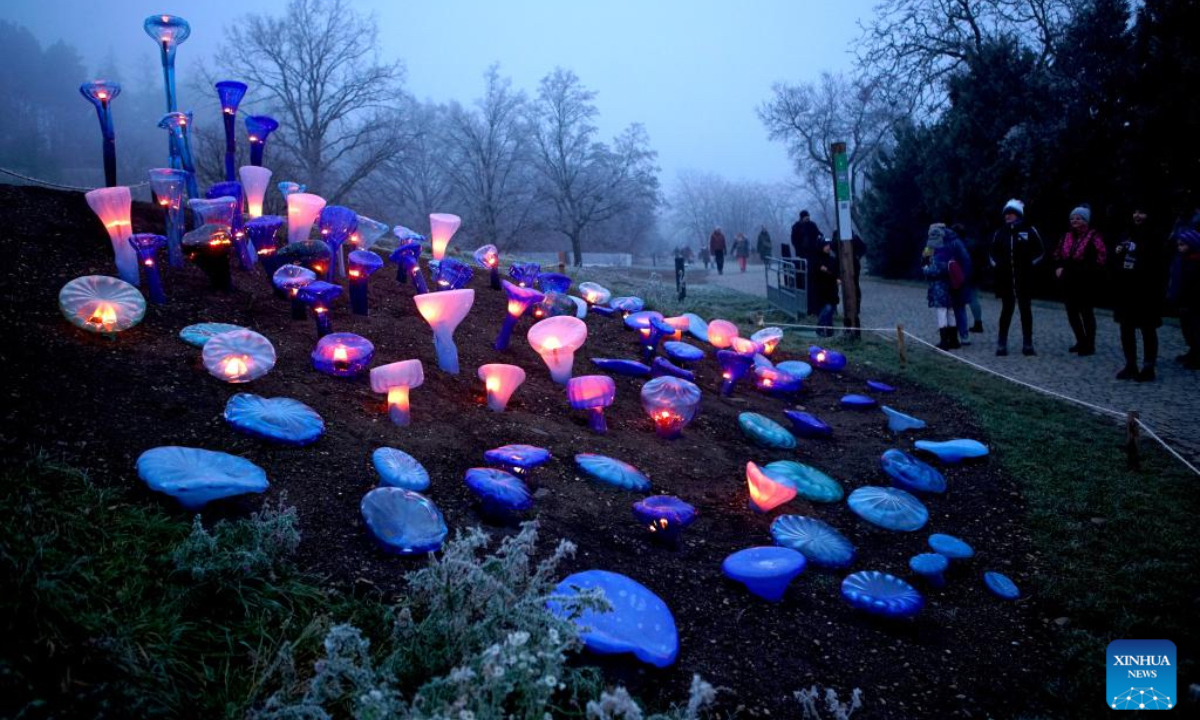 People view luminous glass flower installations during the exhibition of Crystal Garden - Light and Glass in Fantastic Installations at the Prague Botanical Garden in Prague, the Czech Republic, on Dec. 27, 2024. The exhibition, a harmonious blend of light and glass, will run until Feb. 2, 2025. (Photo: Xinhua)