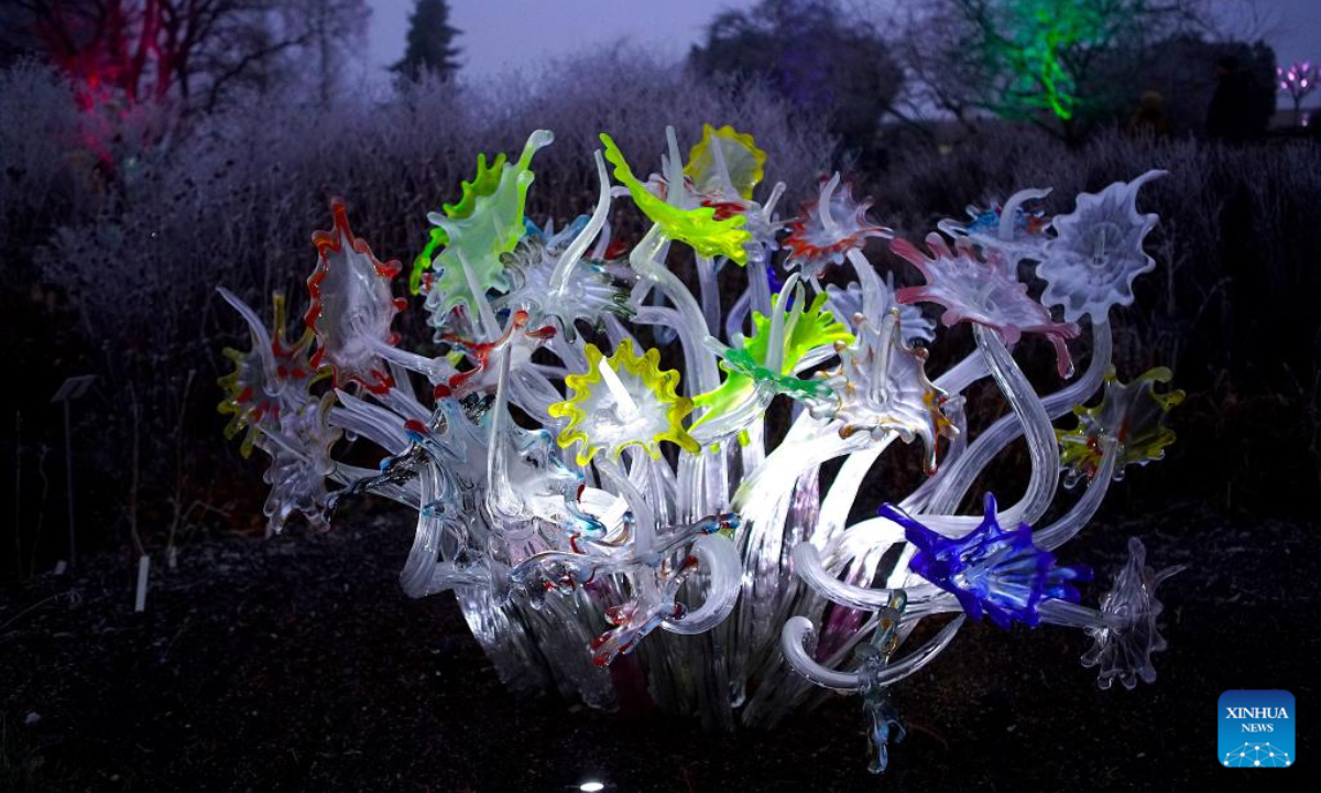 Photo taken on Dec. 27, 2024 shows a luminous glass flower installation during the exhibition of Crystal Garden - Light and Glass in Fantastic Installations at the Prague Botanical Garden in Prague, the Czech Republic. The exhibition, a harmonious blend of light and glass, will run until Feb. 2, 2025. (Photo: Xinhua)