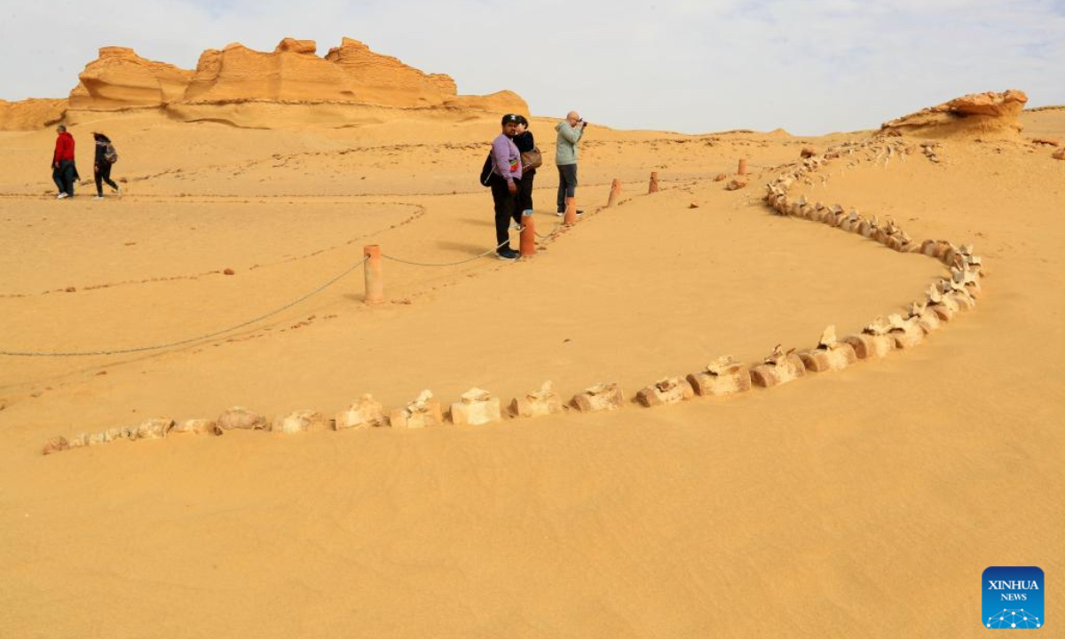 Tourists view whale fossil remains at Wadi Al-Hitan, or the Whale Valley, in Fayoum, Egypt, on Dec. 26, 2024. Wadi Al-Hitan, or the Whale Valley, located in the desert of Fayoum, features invaluable fossil remains of the earliest, and now extinct, suborder of whales, Archaeoceti. It was designated a United Nations Educational, Scientific and Cultural Organization (UNESCO) World Heritage Site in 2005. (Photo: Xinhua)