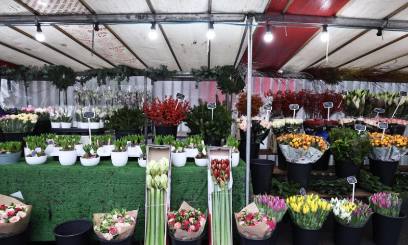 Flowers are seen at a market ahead of Christmas eve in Paris, France, Dec. 24, 2024. (Xinhua/Gao Jing)