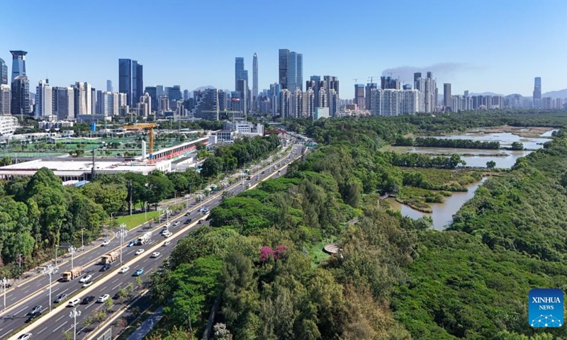 An aerial drone photo shows a view of a mangrove wetland in Futian of Shenzhen, south China's Guangdong Province, Nov. 29, 2024.

Covering an area of 56,000 square kilometers, which is less than 0.6 percent of the country's total land area, the Guangdong-Hong Kong-Macao Greater Bay Area generated an economic output exceeding 14 trillion yuan in 2023, roughly one-ninth of the national total. It stands as one of China's most open and economically dynamic areas, and is also among the regions with the highest economic development quality. (Xinhua/Liang Xu)