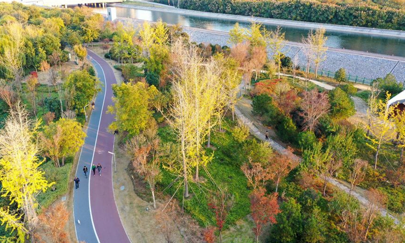 An aerial drone photo taken on Nov. 5, 2024 shows Tianhe Park along the main canal of China's South-to-North Water Diversion Project in Jiaozuo, central China's Henan Province. (Xinhua/Hao Yuan)