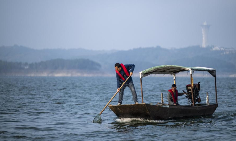 A staff member of a municipal cleanup team removes floating objects at the Danjiangkou Reservoir in central China's Hubei Province, Oct. 28, 2024. (Xinhua/Wu Zhizun)