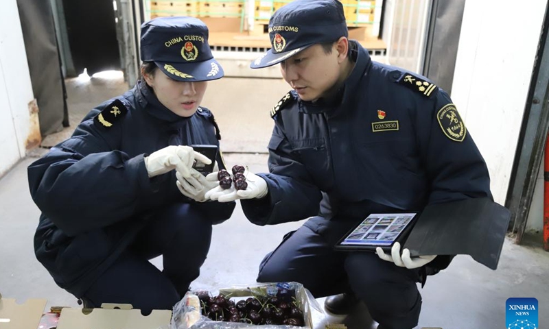 Customs officers check imported cherries at a designed area for imported fruits in north China's Tianjin, Dec. 26, 2024.