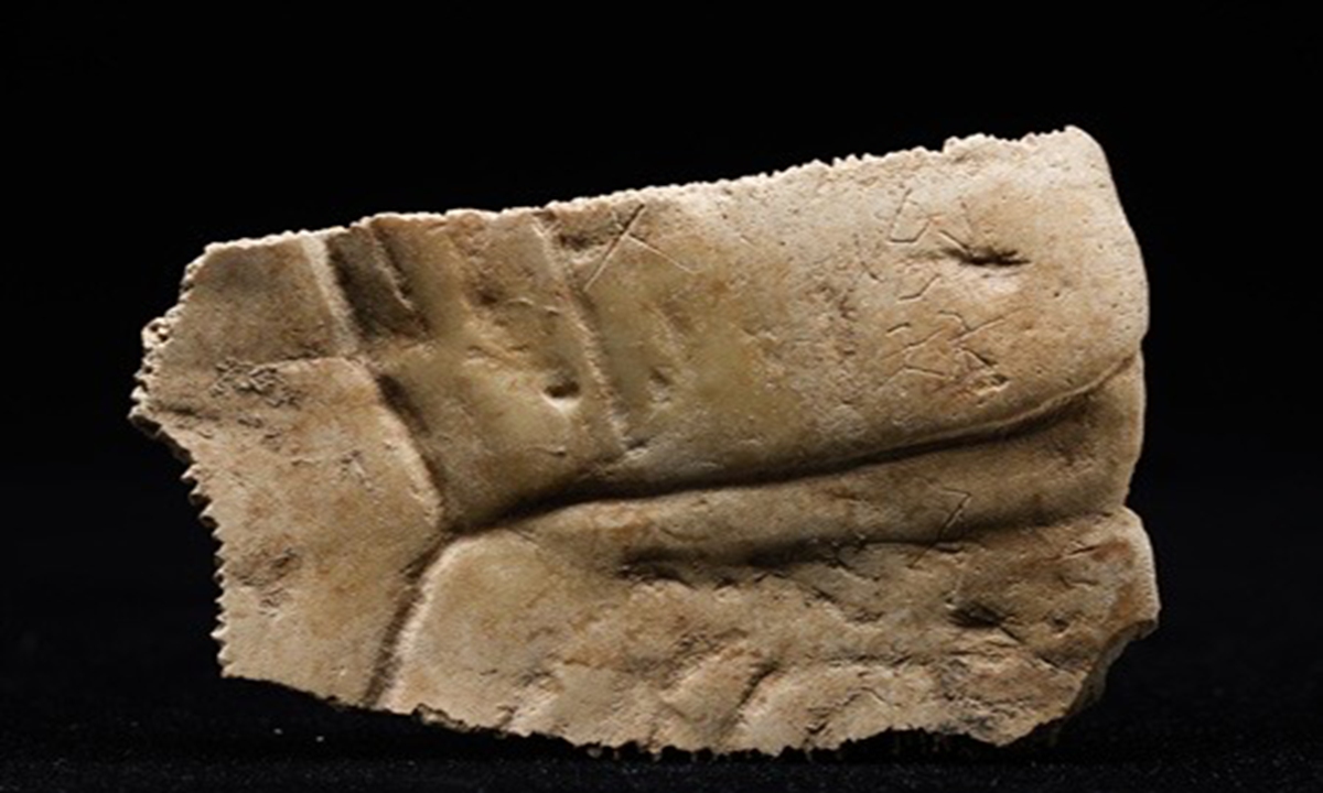 The piece of oracle bone was found inscribed with the characters <em>Qin ren</em> (the Qin people). Photo: Courtesy of Shaanxi Provincial Institute of Archaeology