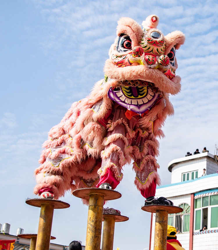 A lion dance performance is held in Zhangzhou, East China's Fujian Province on December 15, 2024. Photo: VCG