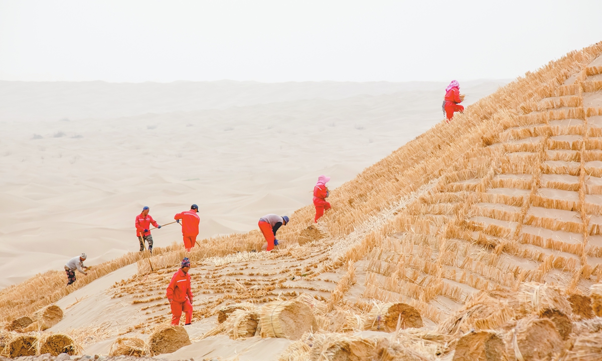 Workers plant straw checkerboard sand barriers in Aksu prefecture, Xinjiang Uygur Autonomous Region. Photo: VCG