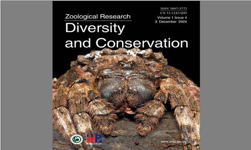 The cover of the Zoological Research: Diversity and Conservation December 3, 2024 Volume 1 Issue 4