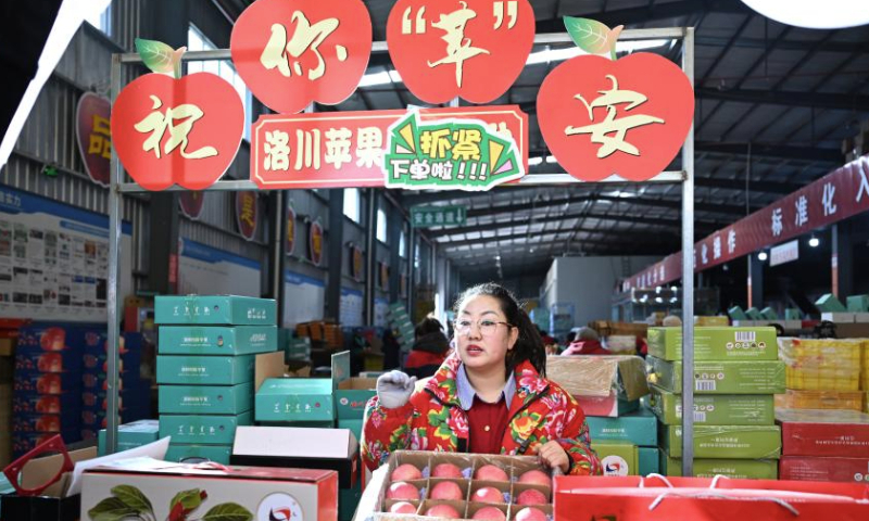 A staff member promotes apples via live-streaming at a fruit company in Luochuan County, northwest China's Shaanxi Province, Jan. 6, 2025. Recently, Luochuan County witnessed a peak season of apple sales. Located on the Loess Plateau, the county is suitable for apple planting. In 2024, Luochuan County's apple output reached about 1.14 million tonnes. (Xinhua/Zhang Bowen)