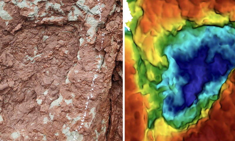 The world’s smallest sauropod dinosaur tracks were discovered in Southwest China's Xizang Autonomous Region. Photo: Courtesy of the China University of Geosciences.