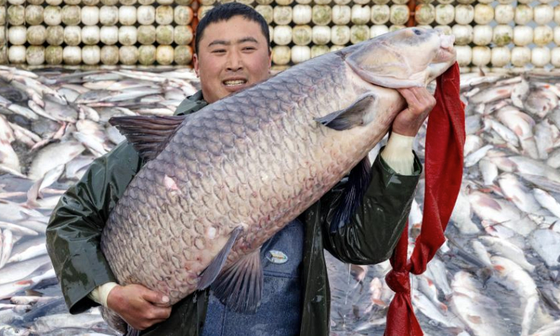 Winter fishing festival opens at Zhenhu Lake in Taizhou, E China ...