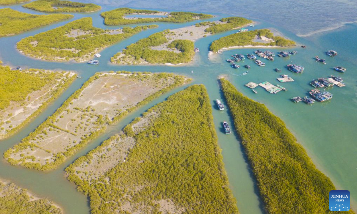 This aerial photo taken on Jan. 31, 2025 shows a view of the Hainan Lingshui Mangrove National Wetland Park in south China's Hainan Province. Home to thousands of waterfowl, the park covering 958.22 hectares has resulted from uncompromising efforts of the local authorities since 2016 to restore and protect the mangrove ecological systems. (Xinhua/Pu Xiaoxu)