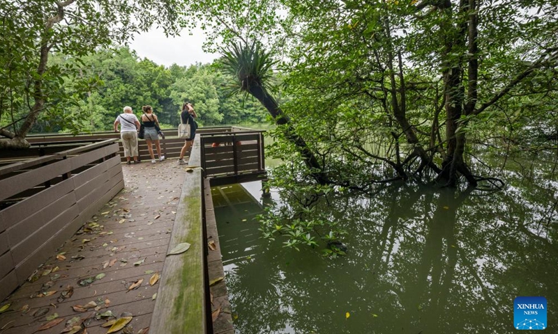 Tourists visit Singapore's Sungei Buloh Wetland Reserve on Jan. 15, 2025. Located in the northwest of Singapore, Sungei Buloh Wetland Reserve covers an area of more than 200 hectares of mangroves, ponds and forests. In 2003, the reserve was recognized as Singapore's first ASEAN Heritage Park. (Photo by Then Chih Wey/Xinhua)