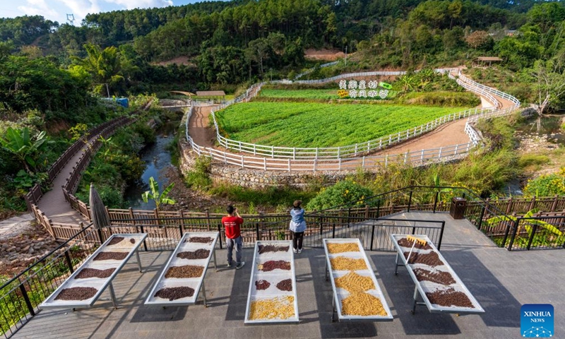 Tourists take photos at a coffee experience center in Pu'er, southwest China's Yunnan Province, Jan. 8, 2025. 