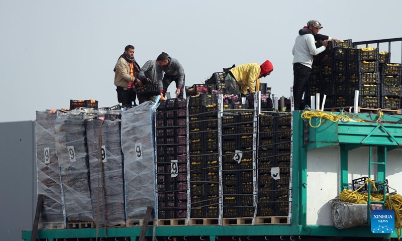 People load fruits and vegetables to be delivered to Gaza on the Egyptian side of the Rafah crossing on Jan. 28, 2025. Photo: Xinhua