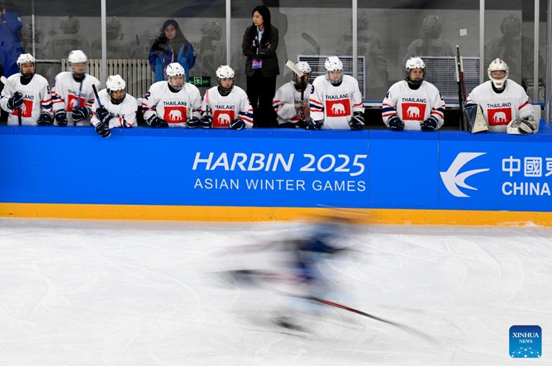 Substitute players of Thailand watch the women's ice hockey group B match between Kazakhstan and Thailand at 2025 Asian Winter Games in Harbin, northeast China's Heilongjiang Province, Feb. 4, 2025. Photo: Xinhua