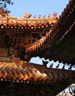 The glazed tile rooftops of the Confucius Mansion in Qufu shine under the sunlight. Photo: VCG