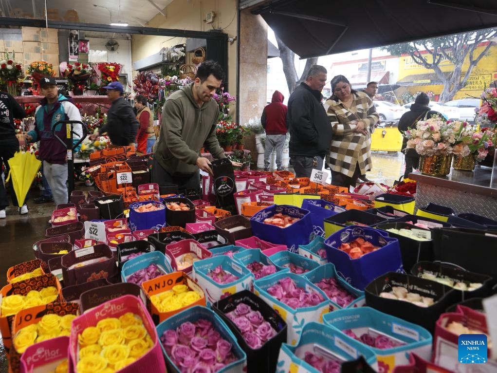 People select flowers at a flower market in downtown Los Angeles, California, the United States, on Feb. 13, 2025. (Photo: Xinhua)