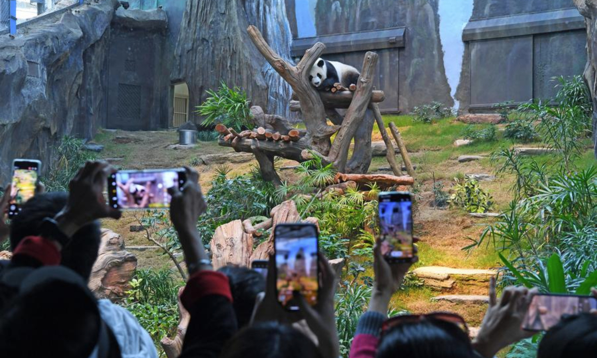 Visitors take pictures of a giant panda at Ocean Park Hong Kong in Hong Kong, south China, Dec. 8, 2024. (Xinhua/Chen Duo)