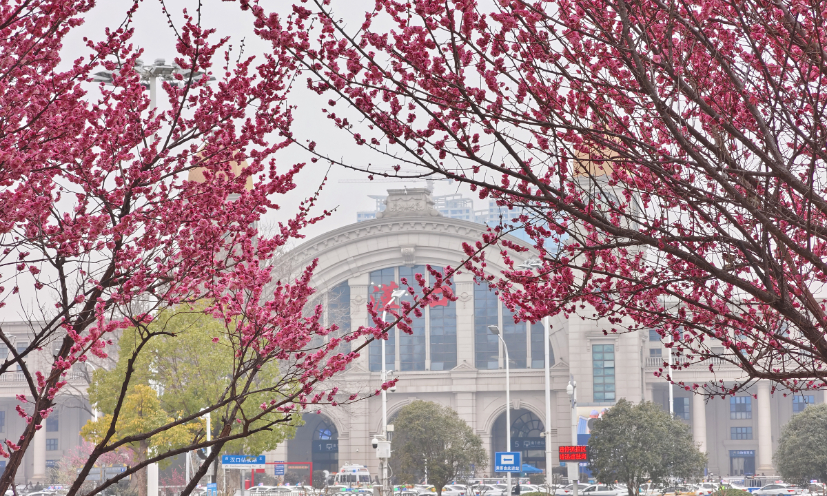 Plum flowers are in full bloom in front of the Hankou Railway Station in Wuhan,<strong><a href=