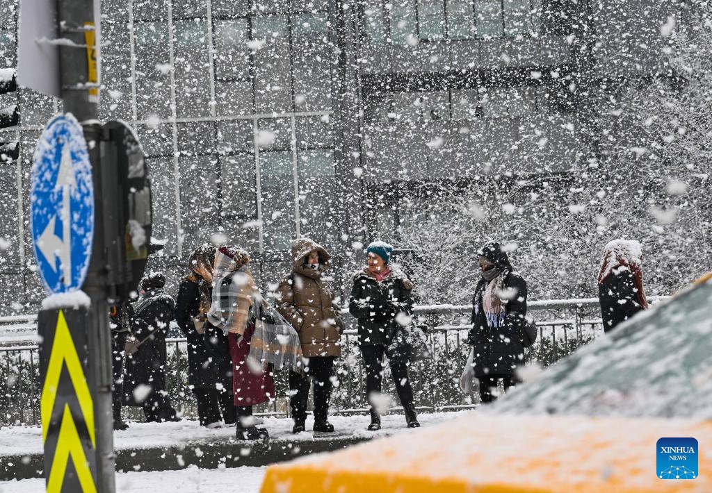 Citizens wait for buses at a bus stop in Istanbul, Türkiye, Feb. 19, 2025. Affected by the cold front, Türkiye's largest city Istanbul underwent heavy snowfall on Wednesday. The bad weather caused serious traffic congestion and some flights were cancelled. (Photo: Xinhua)