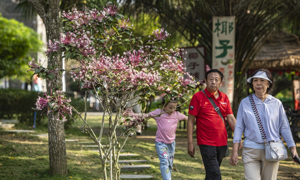 Senior tourists visit a village in Qionghai, South China's Hainan Province, on February 17, 2025. Photo: VCG