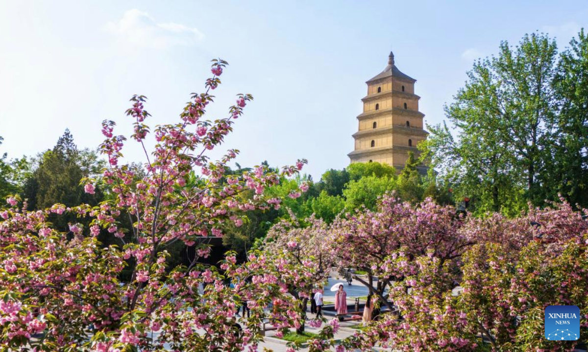 A drone photo shows tourists at the foot of the Giant Wild Goose Pagoda in Xi'an, northwest China's Shaanxi Province, April 10, 2024. As the provincial capital of northwest China's Shaanxi Province, Xi'an, with a history of over 3,100 years, has served as the capital city for 13 dynasties of China. Under the policies of protection and utilization of cultural relics, the historical and cultural resources of Xi'an have been well preserved. (Xinhua/Zou Jingyi)