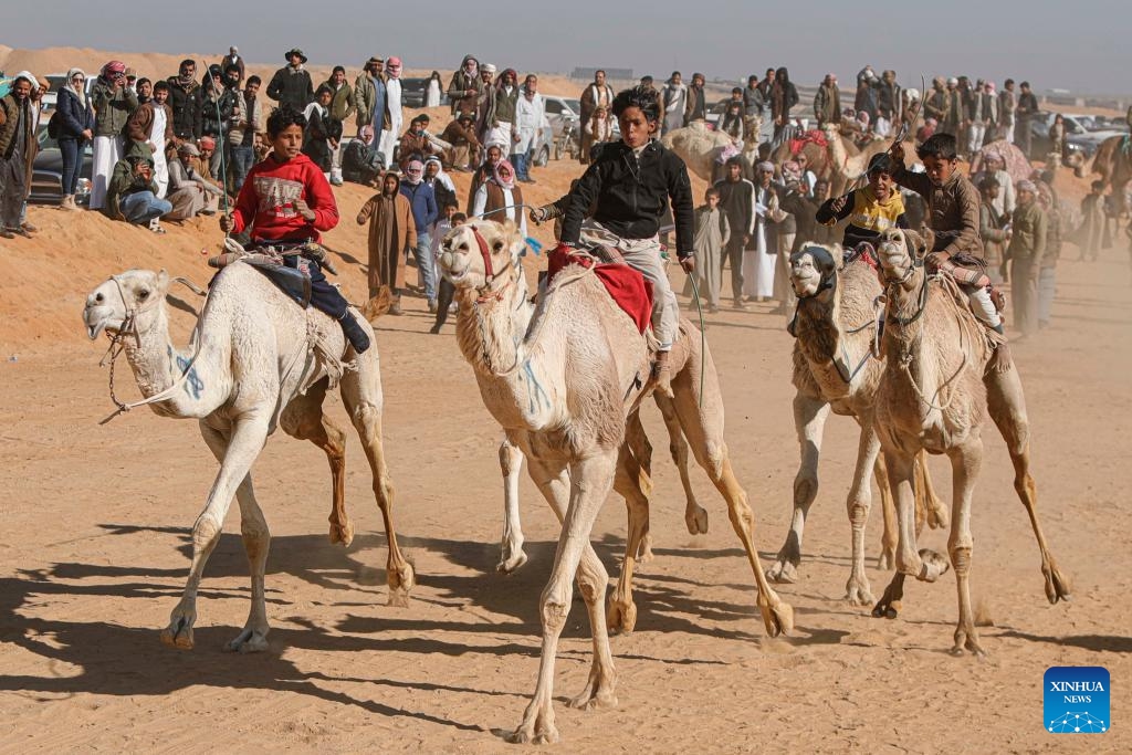 Participants compete during the Ismailia Camel Racing Festival held in Ismailia Governorate, Egypt, Feb. 27, 2025. (Photo: Xinhua)